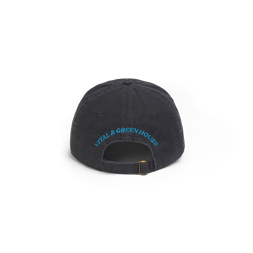  【MAGAZINE SHOP】Washed Patchwork Baseball Cap Grey Green House X VANS X VITAL