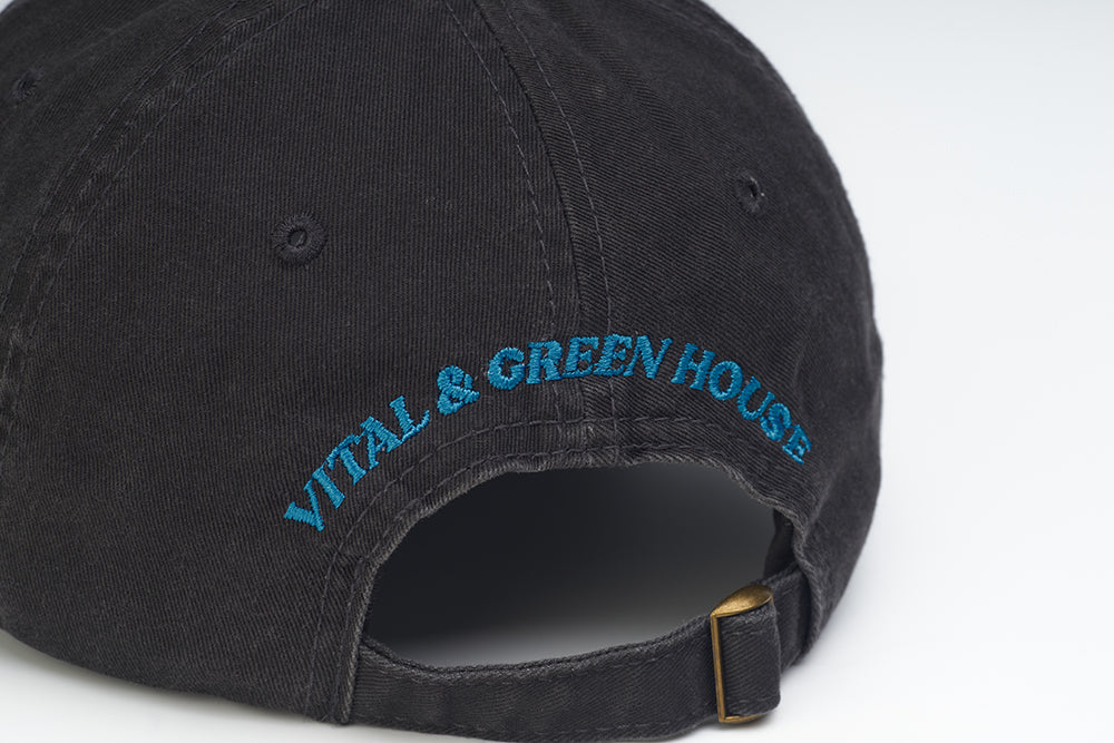  【MAGAZINE SHOP】Washed Patchwork Baseball Cap Grey Green House X VANS X VITAL