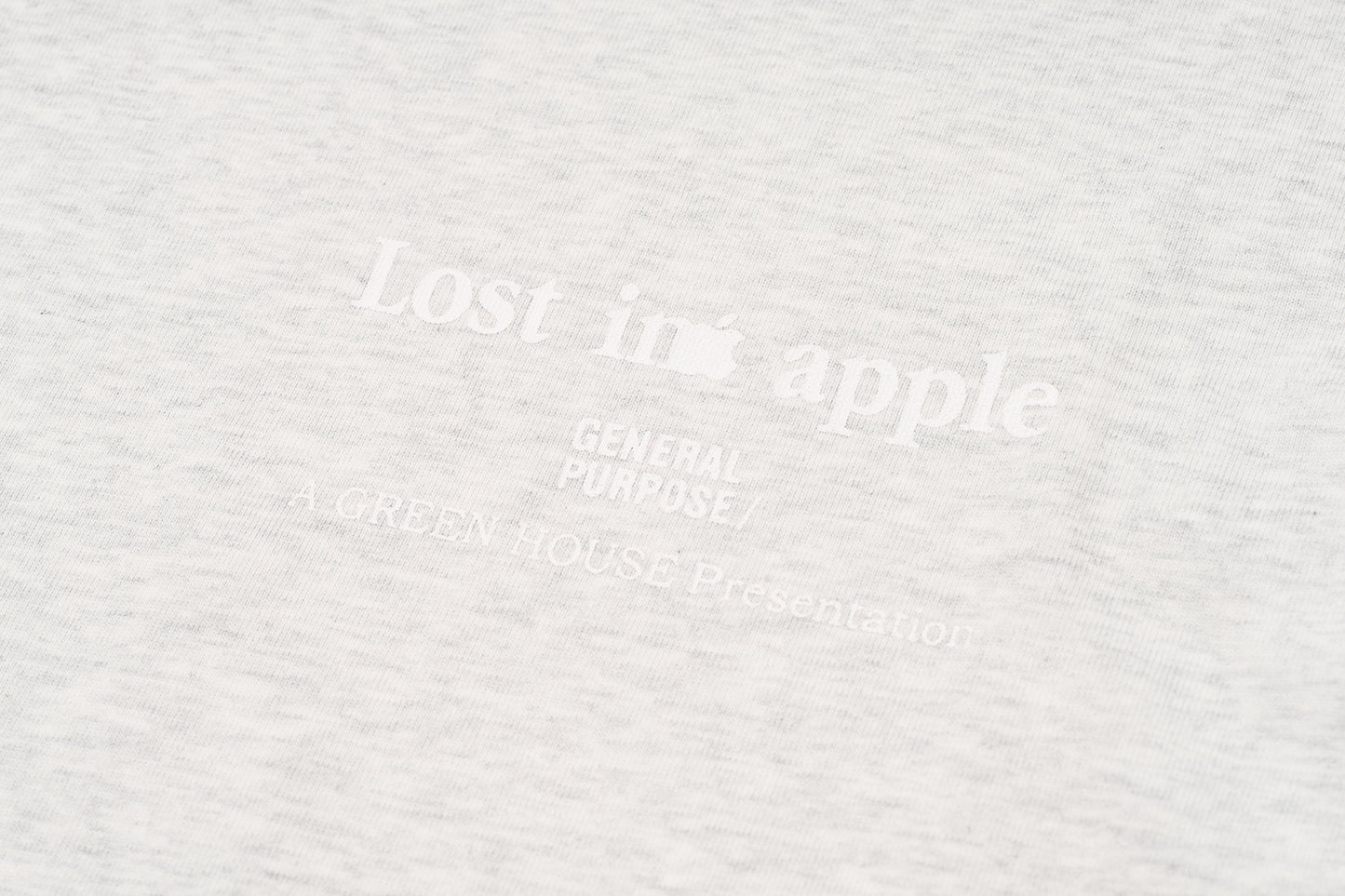GREENHOUSE x General Purpose "Lost in apple" SERIES PRINT TEE GRAY