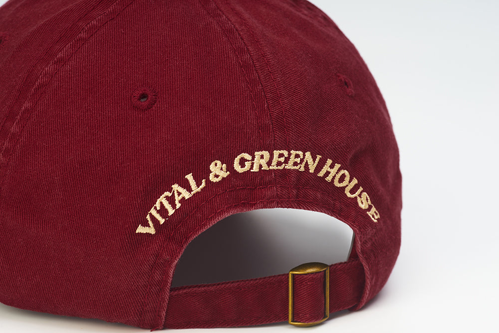 【MAGAZINE SHOP】Washed Patchwork Baseball Cap Red Green House X VANS X VITAL