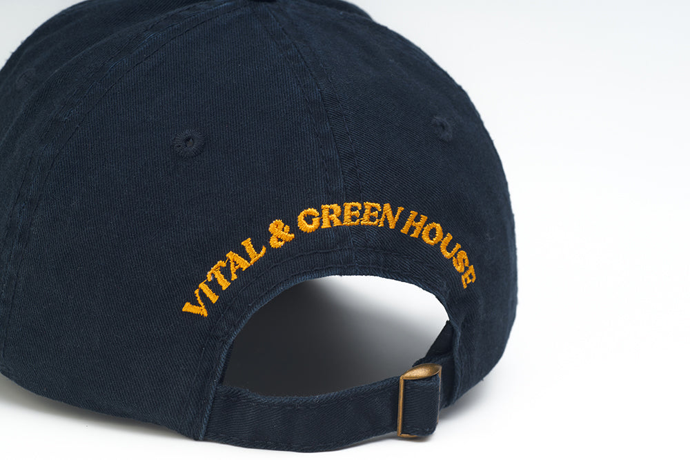 【MAGAZINE SHOP】Washed Patchwork Baseball Cap Navy Blue Green House X VANS X VITAL